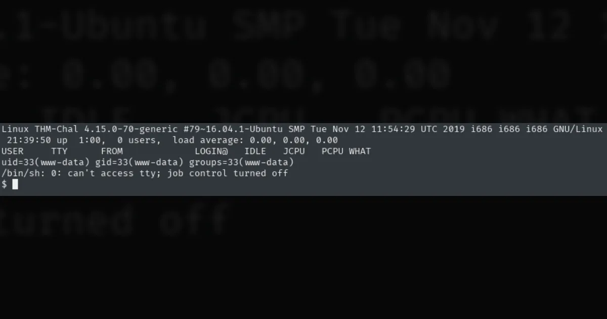 THM Writeup - Lazy Admin